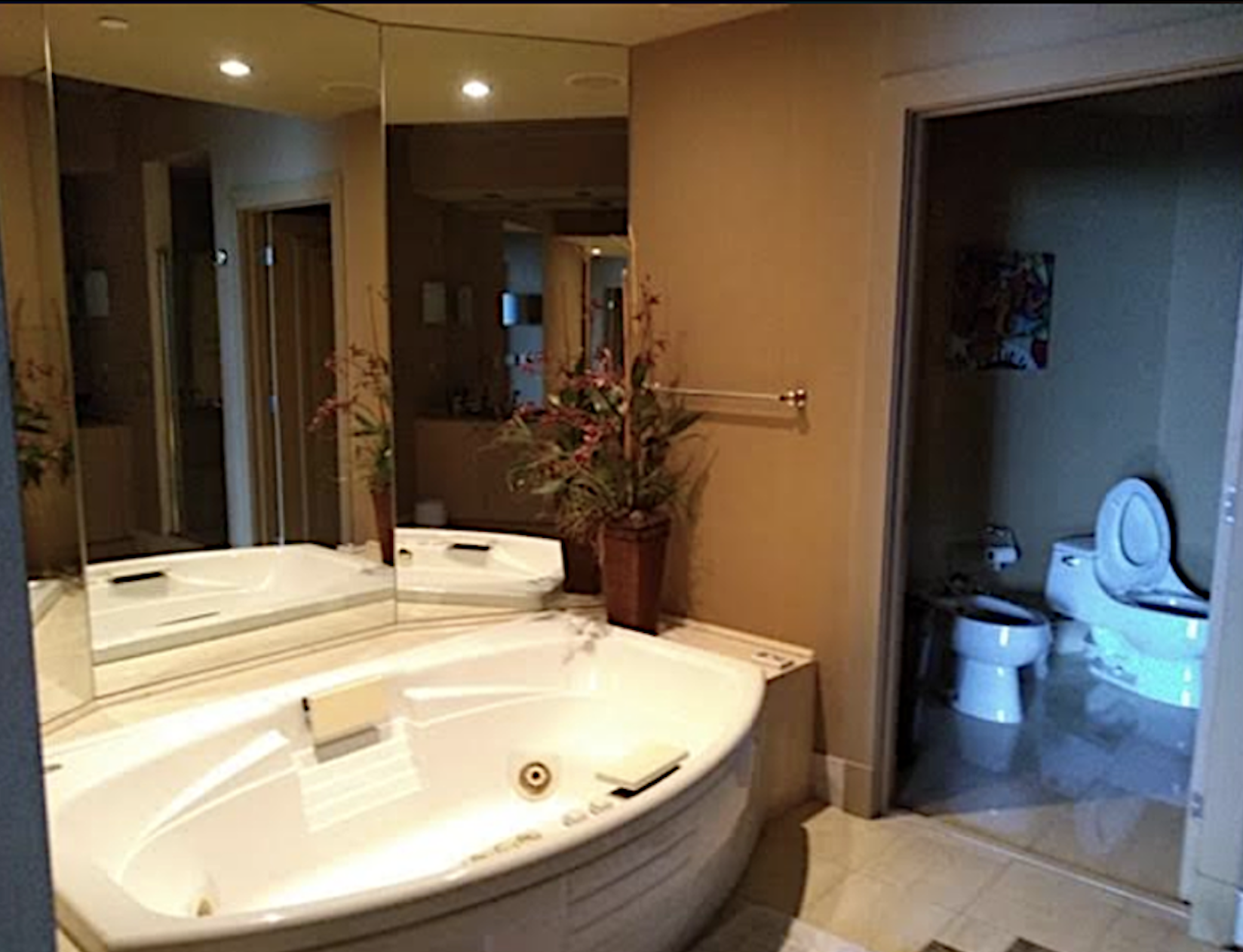 Primary bathroom before the Portofino Tower remodel
